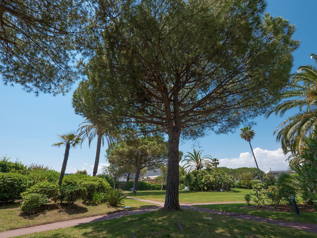 Hotel Bahia Villeneuve-Loubet Buitenkant foto