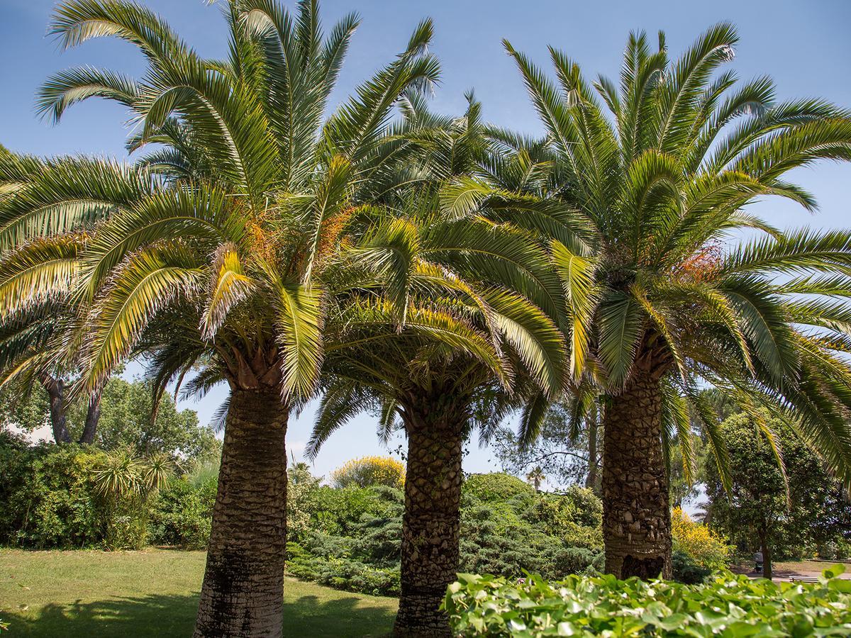 Hotel Bahia Villeneuve-Loubet Buitenkant foto