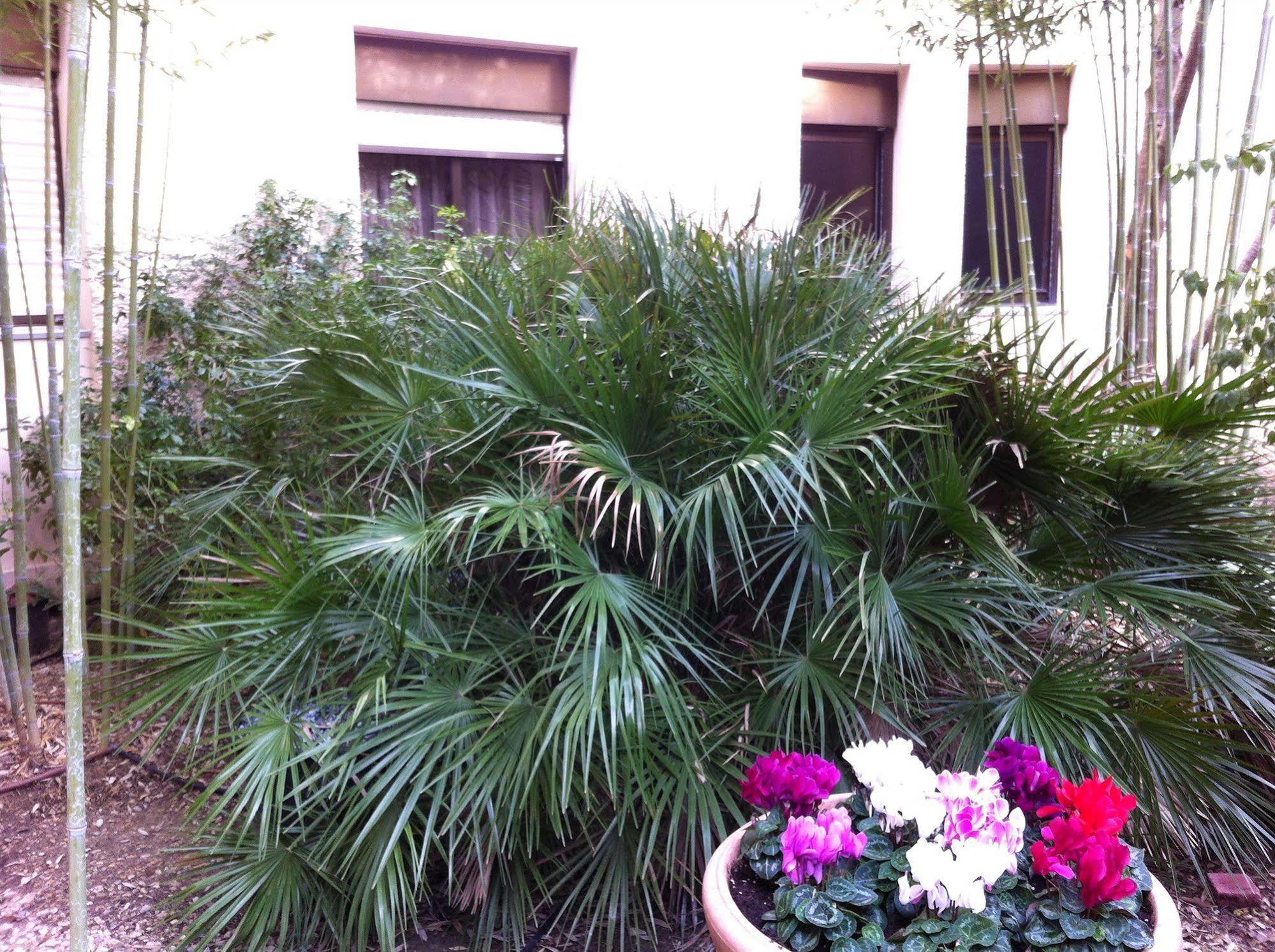 Hotel Bahia Villeneuve-Loubet Buitenkant foto